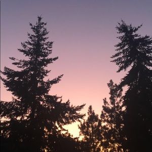 Meet your Posher, Daphne